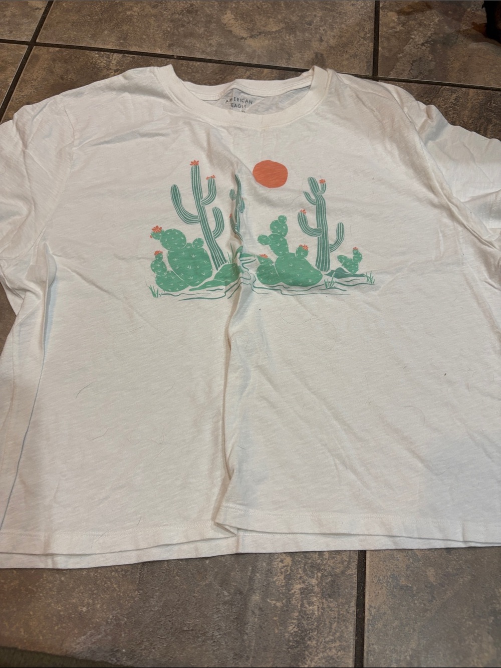 American Eagle Outfitters White Tee with Mint Green Cactus & Coral Sun